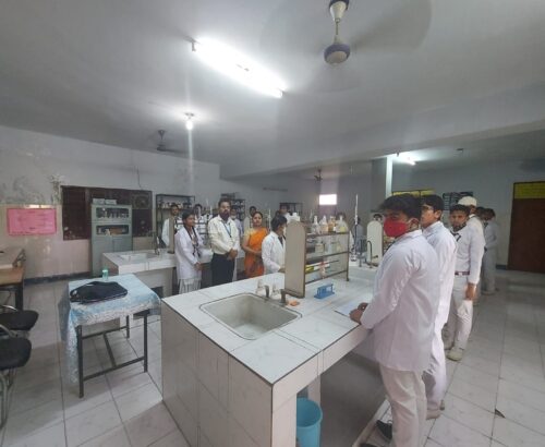 WhatsApp Image 2024-06-27 at 14.16.31